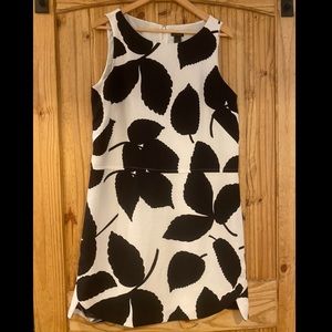 Black and White Ann Taylor Cocktail Dress